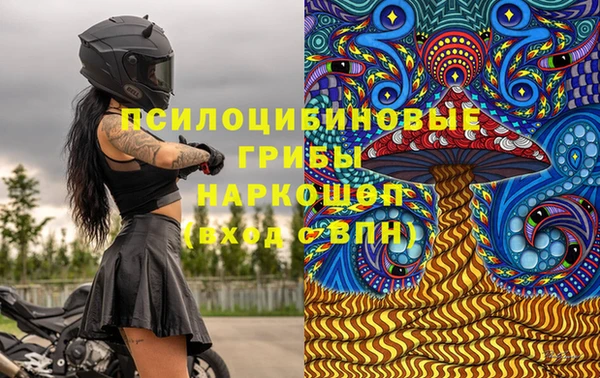 кокс Аркадак