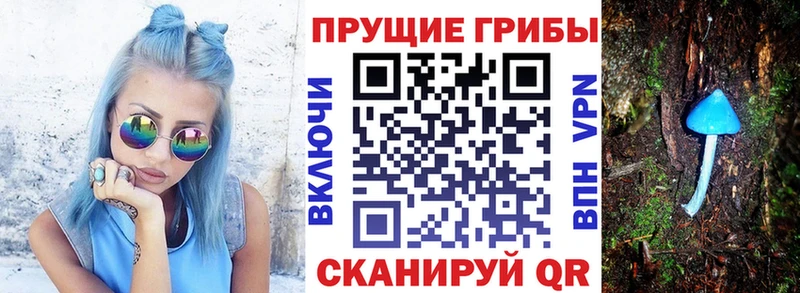 Псилоцибиновые грибы Magic Shrooms  Белая Холуница 